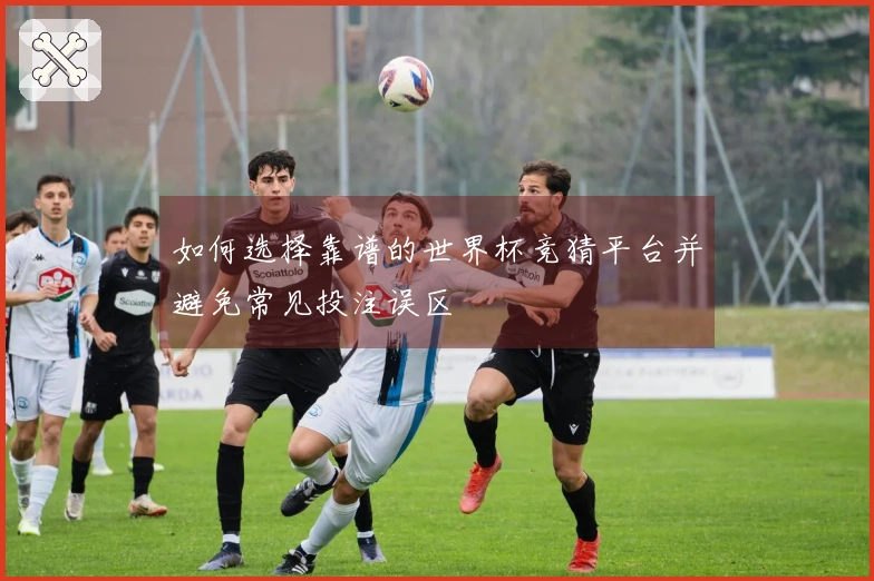 如何选择靠谱的世界杯竞猜平台并避免常见投注误区
