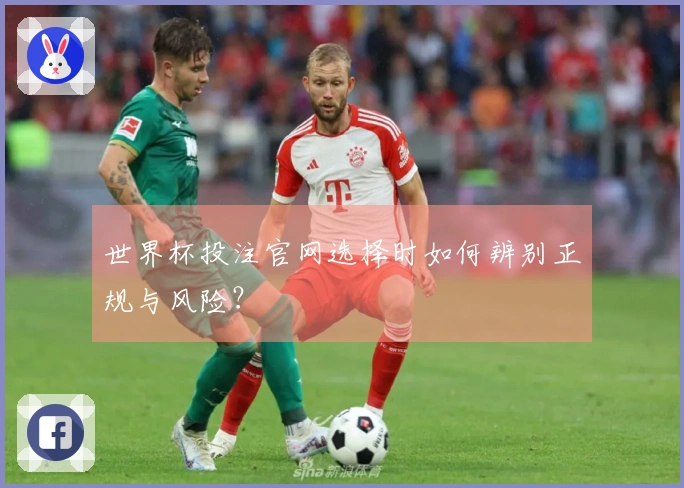 世界杯投注官网选择时如何辨别正规与风险？