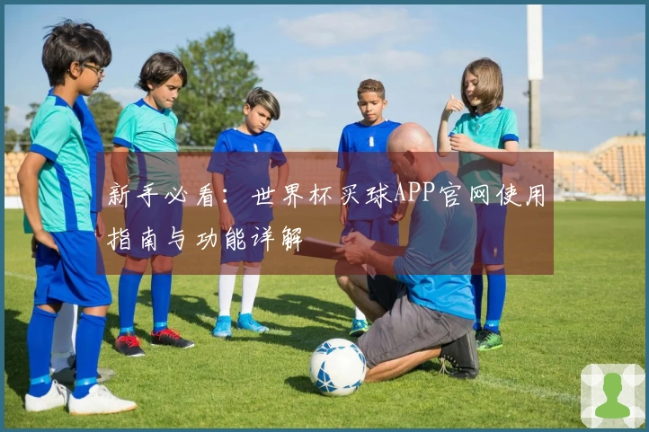 新手必看：世界杯买球APP官网使用指南与功能详解