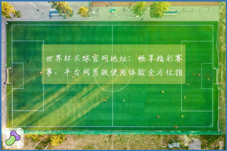 世界杯买球官网地址：畅享精彩赛事，平台网页版使用体验全方位指引