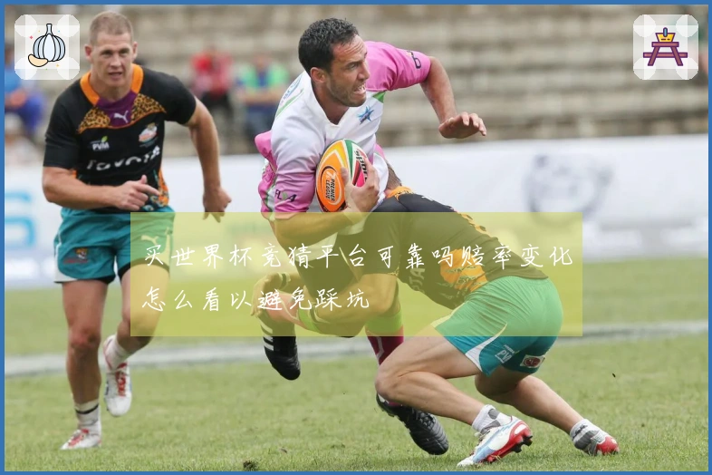 买世界杯竞猜平台可靠吗赔率变化怎么看以避免踩坑