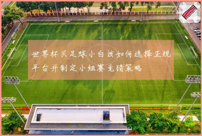 世界杯买足球小白该如何选择正规平台并制定小组赛竞猜策略