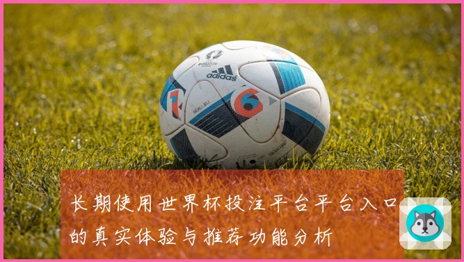 长期使用世界杯投注平台平台入口的真实体验与推荐功能分析