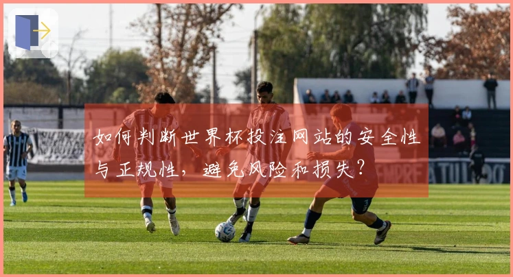如何判断世界杯投注网站的安全性与正规性，避免风险和损失？
