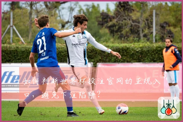 如何判断世界杯投注官网的正规入口，避免下注陷阱？