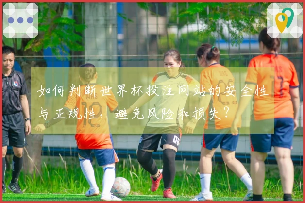如何判断世界杯投注网站的安全性与正规性，避免风险和损失？
