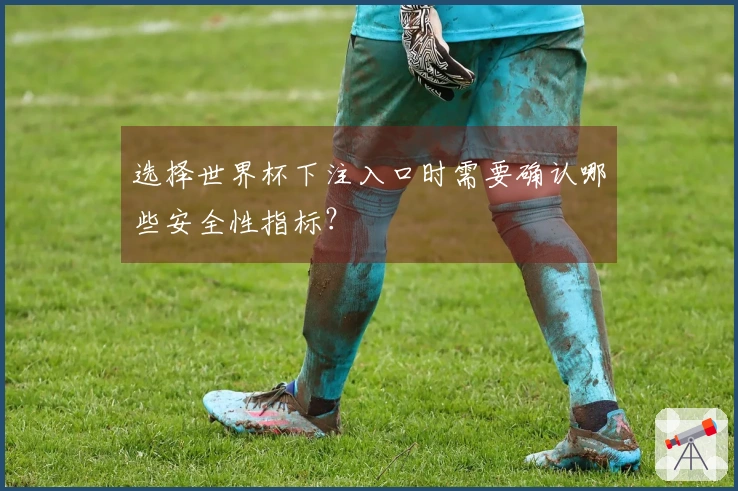 选择世界杯下注入口时需要确认哪些安全性指标？