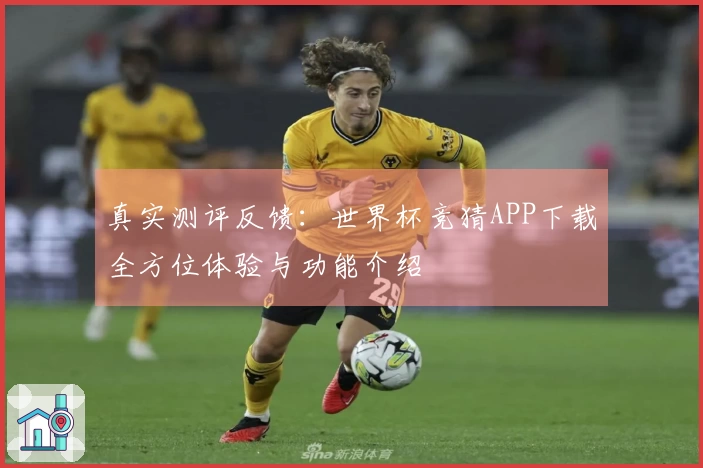 真实测评反馈：世界杯竞猜APP下载全方位体验与功能介绍
