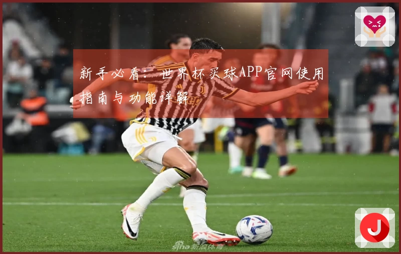新手必看：世界杯买球APP官网使用指南与功能详解