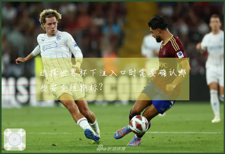 选择世界杯下注入口时需要确认哪些安全性指标？