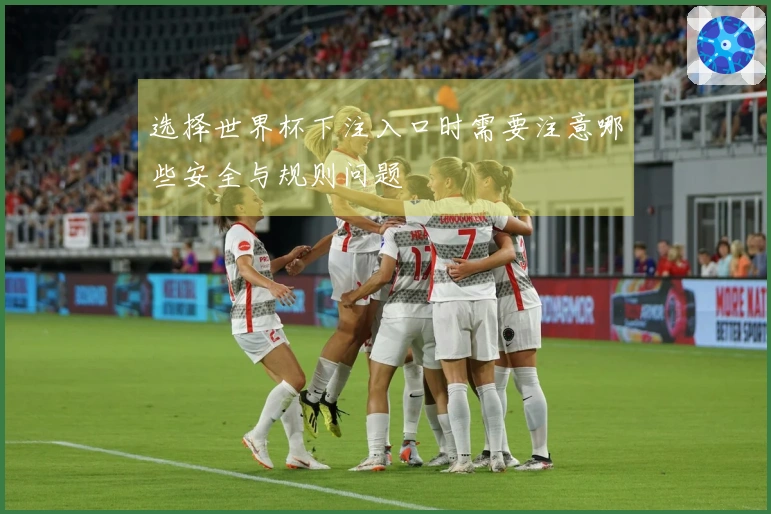 选择世界杯下注入口时需要注意哪些安全与规则问题