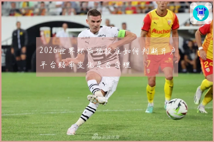 2026世界杯临场投注如何判断开户平台赔率变化是否合理