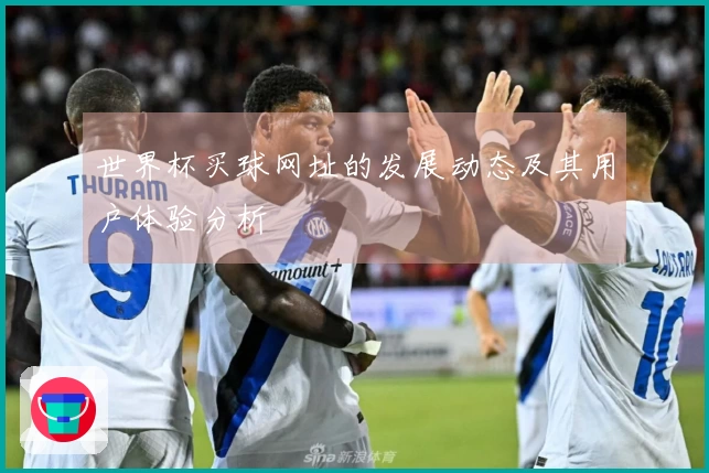 世界杯买球网址的发展动态及其用户体验分析